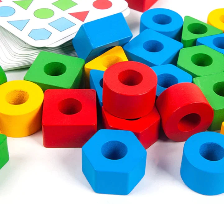 Geometric Puzzle