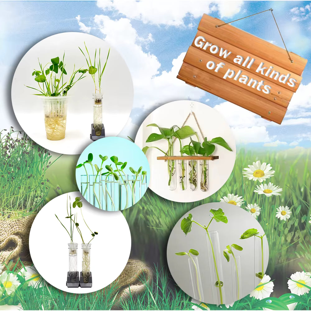 Kit STEM Botanică – Creșterea Plantelor | 19 Experimente Educaționale pentru Copii 6+