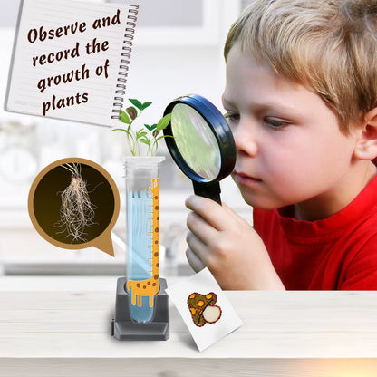 Kit STEM Botanică – Creșterea Plantelor | 19 Experimente Educaționale pentru Copii 6+